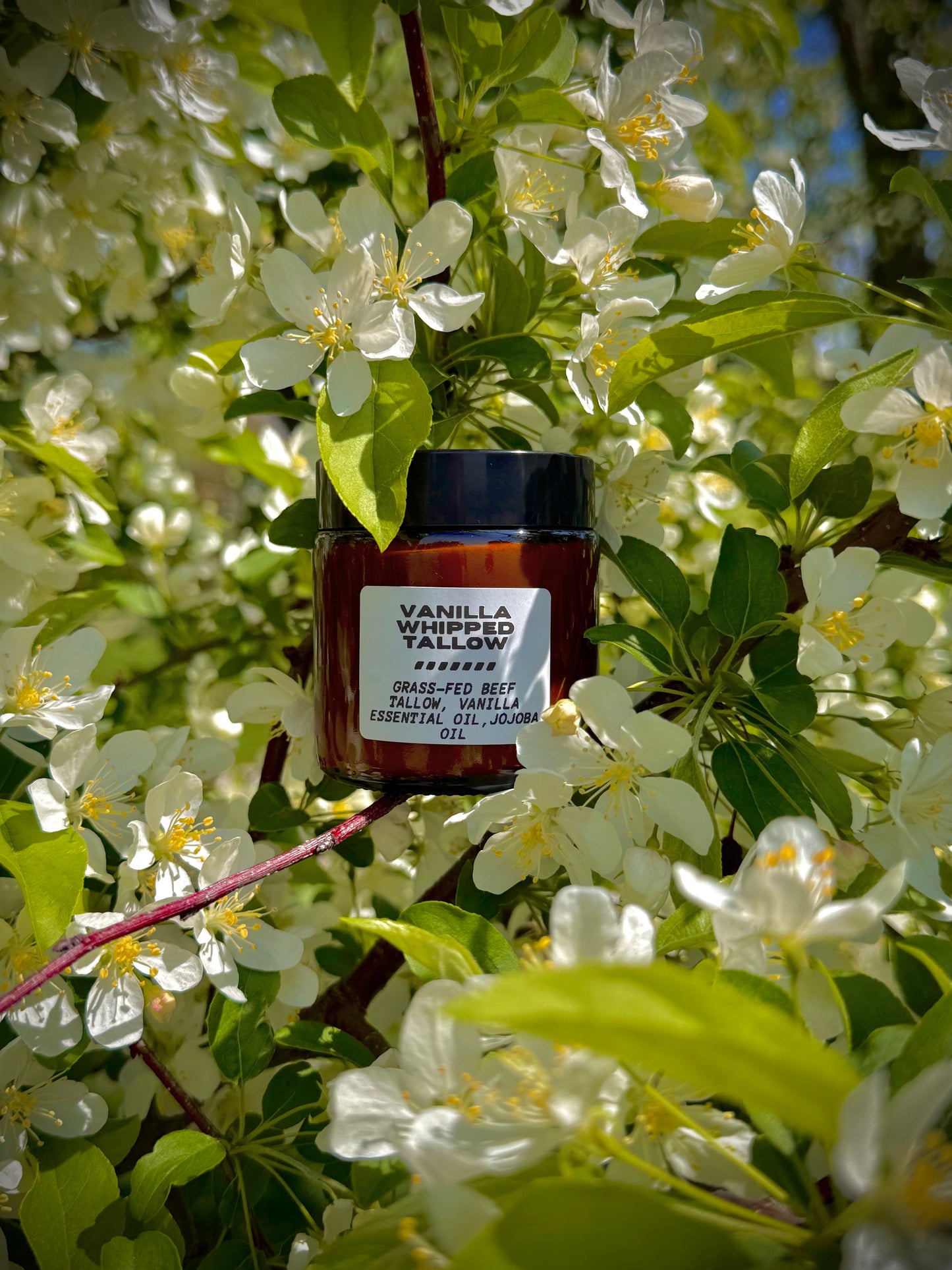 Vanilla Whipped Tallow